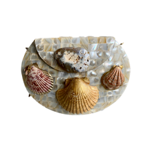 Cargar imagen en el visor de la galería, CLUTCH CARNEOLA